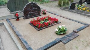 IMG-20180701-WA0002 (3)